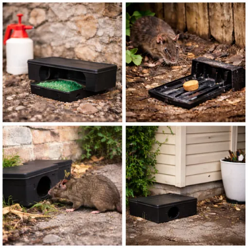 Entreprise de dératisation des rats ou souris à Castelnaudary (11), Castelnaudary, ALERTE NUISIBLES