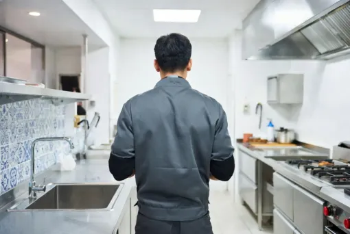 Désinsectisation et dératisation professionnelle Revel, Castelnaudary, ALERTE NUISIBLES