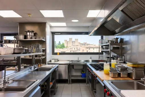 Intervention dératisation norme HACCP Carcassonne, Castelnaudary, ALERTE NUISIBLES