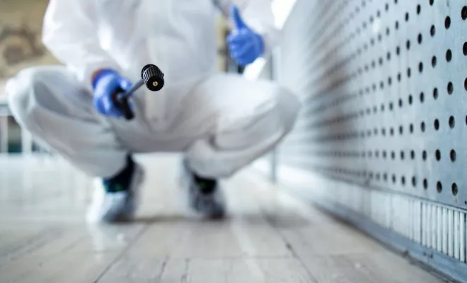 Intervention anti-nuisible pour particulier, Castelnaudary, ALERTE NUISIBLES