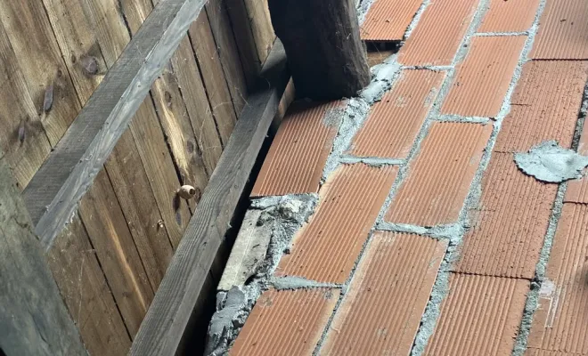 Découverte de nid de frelons asiatiques dans un garage à Castelnaudary, Castelnaudary, ALERTE NUISIBLES