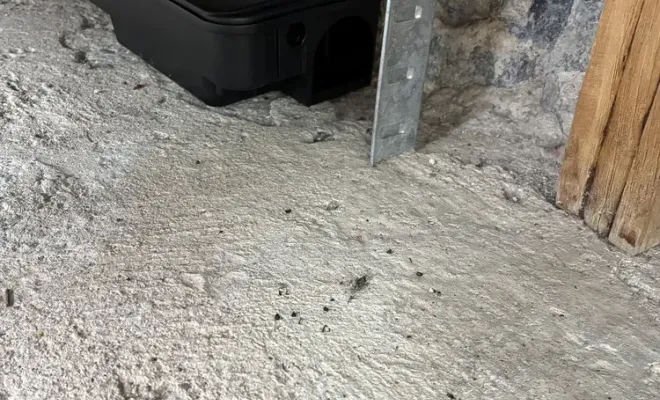 Demande d'intervention pour une dératisation chez un particulier à Bram, Castelnaudary, ALERTE NUISIBLES